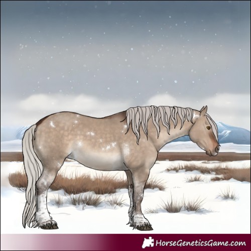 Horse Color:White Spotted Silver Brown Dun Tobiano 