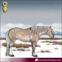 Horse Color:White Spotted Silver Brown Dun Tobiano 