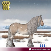 Horse Color:White Spotted Silver Brown Dun Tobiano 