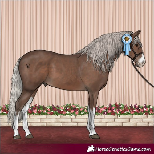 Horse Color:White Spotted Silver Black 
