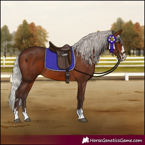Horse Color:Silver Brown 