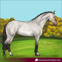 Horse Color:Brown Roan Dun 