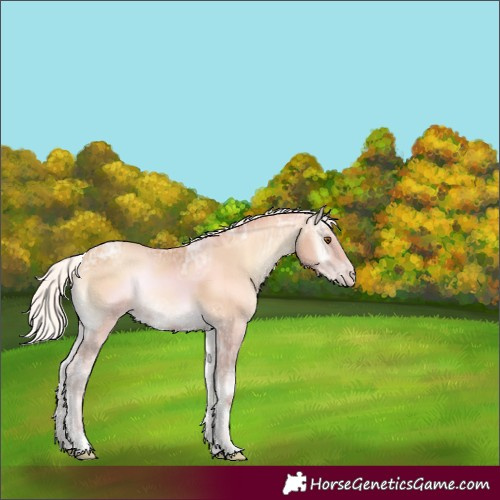 Horse Color:Silver Classic Champagne Ice Onyx 