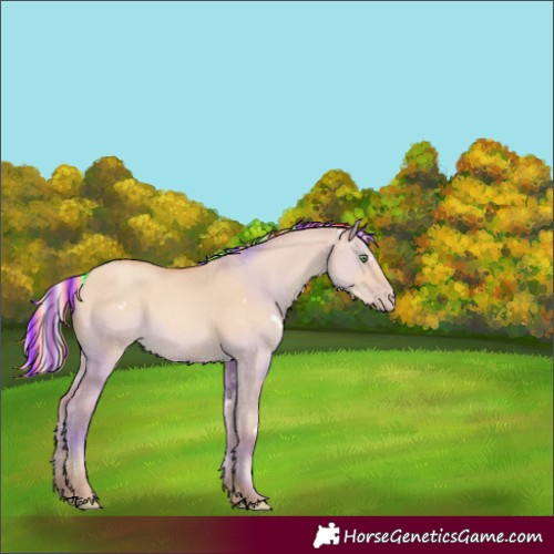Horse Color:Painted White Spotted Silver Classic Champagne Dun 