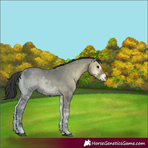 Horse Color:Blue Onyx Ice