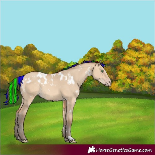 Horse Color:Painted White Spotted Amber Champagne Dun