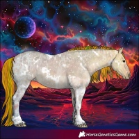 Horse Color:Painted White Spotted Bay Ice Dun
