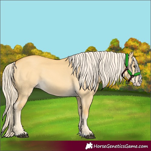 Horse Color:Palomino Dun Splash