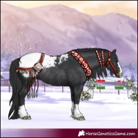 Horse Color:Black Snowcap Rabicano