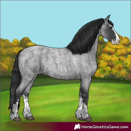 Horse Color:Blue Roan Sabino Splash  and Blue Roan Sabino Splash 