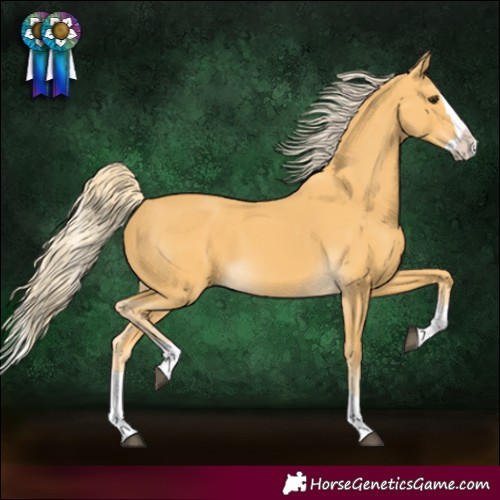 Horse Color:Palomino Splash 