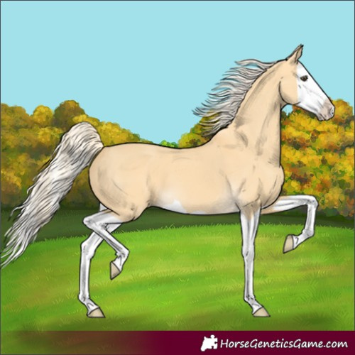 Horse Color:Palomino Dun Splash 