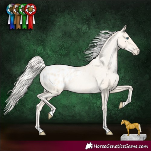Horse Color:Gold Cream Champagne Pearl Blanket 