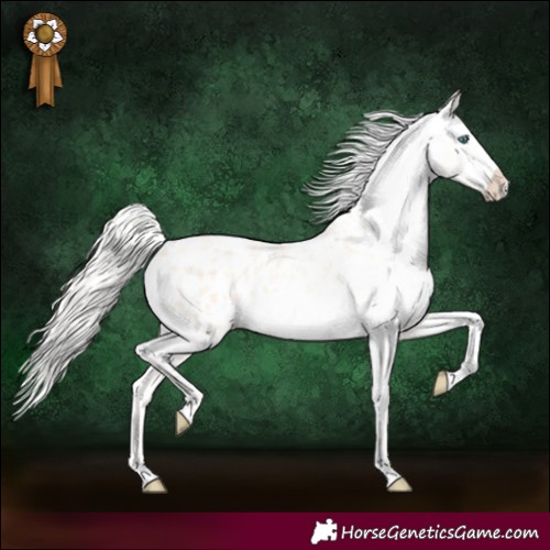 Horse Color:Gold Cream Champagne Pearl Appaloosa 
