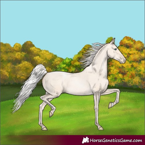 Horse Color:Silver Amber Cream Champagne Pearl 