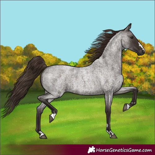 Horse Color:Liver Red Roan 