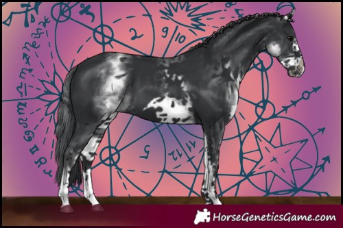 Horse Color:White Spotted Black Frame 