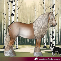 Horse Color:Gray Palomino Tobiano