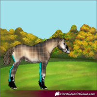 Horse Color:Plaid Liver Red Onyx Sabino