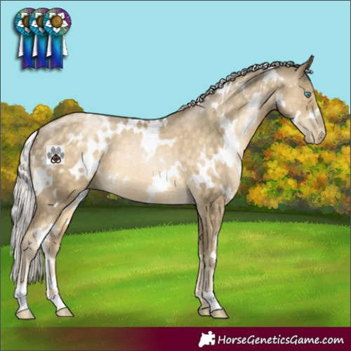 Horse Color:White Spotted Silver Buckskin Pearl 