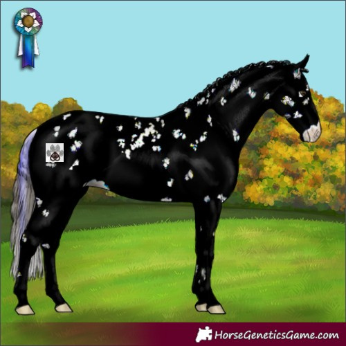 Horse Color:Plaid  Liver Chestnut Ice Sabino 