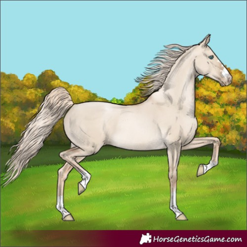Horse Color:Chocolate Palomino Pearl Dun Rabicano 