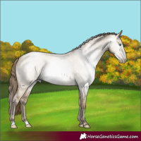 Horse Color:Gray Smoky Grullo Roan Pearl 