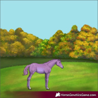 Horse Color:Watercolor Chestnut