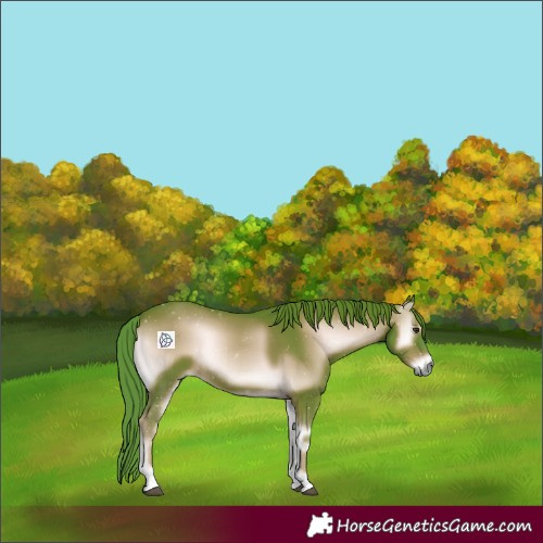 Horse Color:Watercolor Red Onyx 