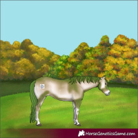 Horse Color:Watercolor Red Onyx