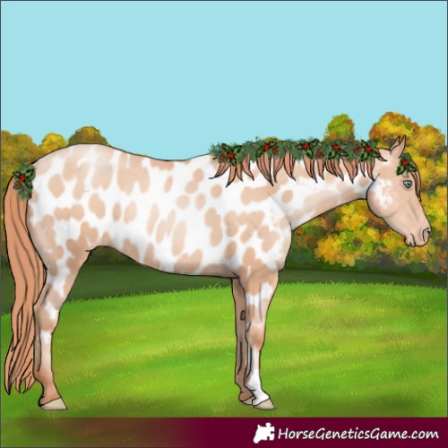 Horse Color:Sable Champagne Pearl Appaloosa Rabicano 