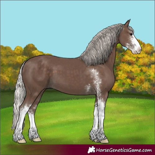 Horse Color:Silver Black Sabino