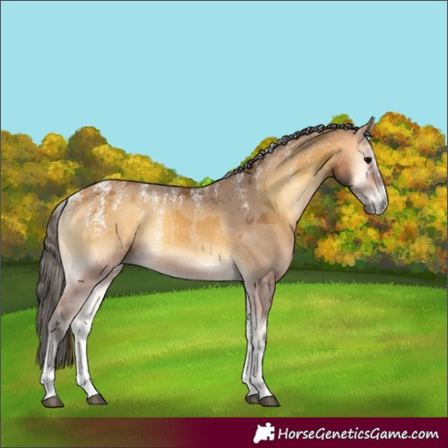 Horse Color:Powder White Buckskin Onyx Merle Rabicano 