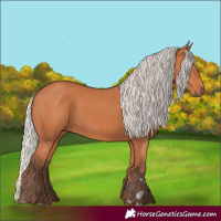 Horse Color:Silver Bay 