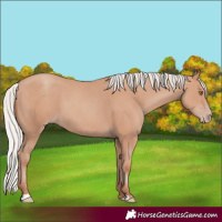 Horse Color:Silver Classic Champagne 