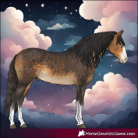 Horse Color:Buckskin 
