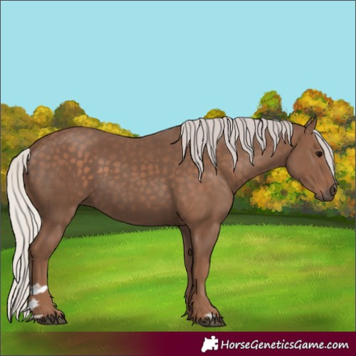 Horse Color:Silver Black 