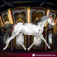 Horse Color:White Spotted Bay Frame