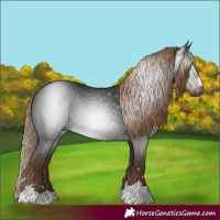 Horse Color:Gray Liver Chestnut Rabicano 