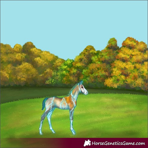 Horse Color:Thunderstruck Bay Onyx Sabino 