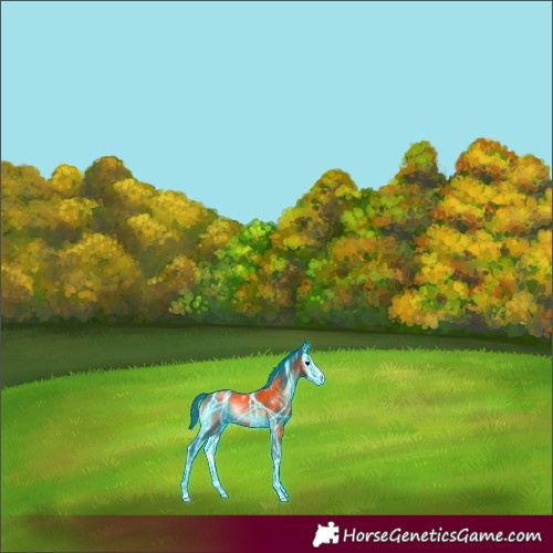 Horse Color:Thunderstruck Brown Onyx Sabino 