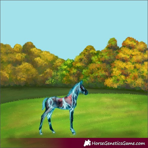 Horse Color:ERROR: UNKNOWN ANOMALY