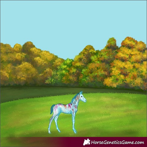 Horse Color:Thunderstruck Bay Onyx Sabino 