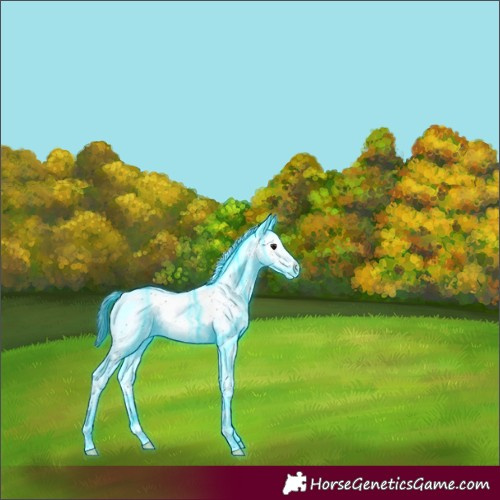 Horse Color:Thunderstruck Brown Sabino Varnish Rabicano