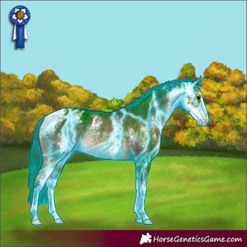 Horse Color:Thunderstruck Brown Sabino Varnish Rabicano 
