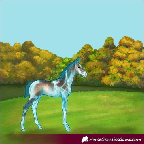 Horse Color:Thunderstruck Brown Onyx Sabino Tobiano Rabicano 