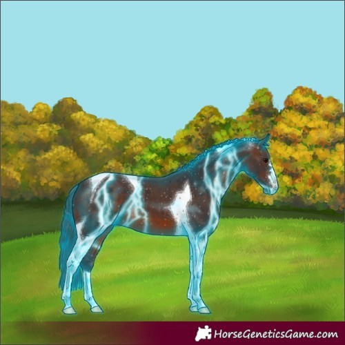 Horse Color:Thunderstruck Brown Tobiano