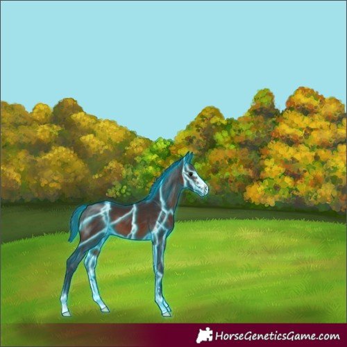 Horse Color:Thunderstruck Brown