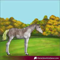 Horse Color:Painted White Spotted Silver Black