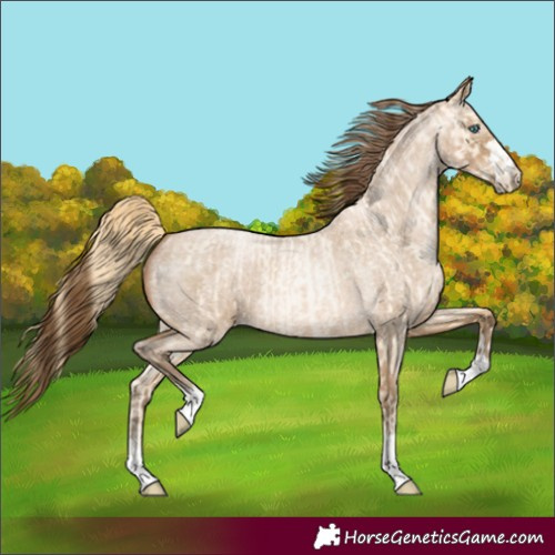 Horse Color:Buckskin Roan Pearl and Gray Buckskin Roan Pearl